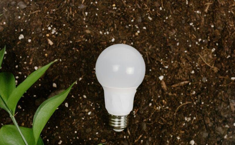 Concimi Naturali per Giardinaggio e Orto