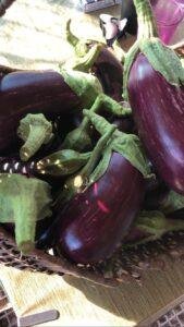 Melanzane Sott’Olio Fatte in Casa