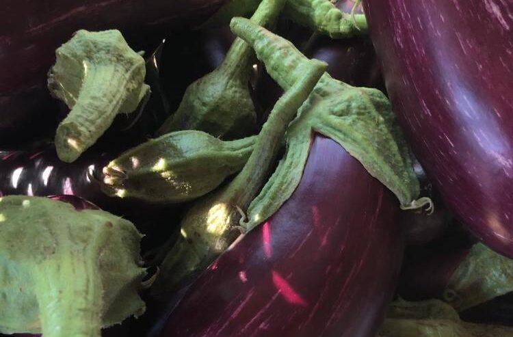 Melanzane Sott’Olio Fatte in Casa